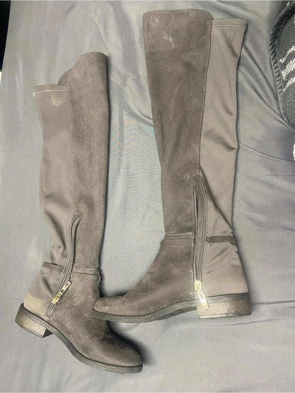 bebe Gray Over-the-Knee Suede and Stretch Riding Boots with Gold Buckle